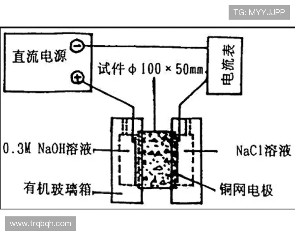 杭州乒乓球队边路渗透战术分析及其对比赛结果的影响探讨